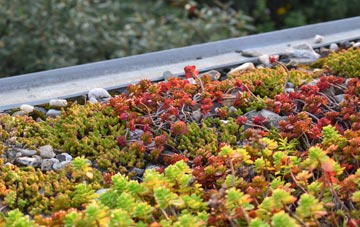 the cost of Blackfords green roof installation