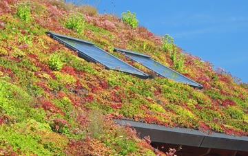 Blackfords living roof systems